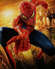 Spider-Man 40x30