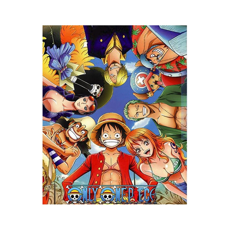 One Piece 40x50