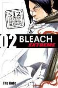 Bleach Extreme 2