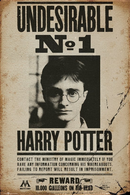 Harry Potter Maxi Poster Undesirable